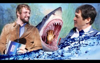 Quand la vie des requins vaut plus que les humains sur l’île de la Réunion