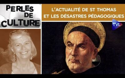 [Rediffusion] L&rsquo;actualité de St Thomas et les désastres pédagogiques – Perles de Culture n°307 – TVL