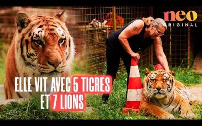 Brigitte a créé une maison de retraite pour tigres et lions