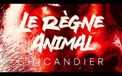 Le règne animal – la raclette