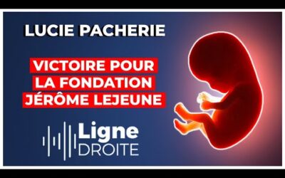 Embryons génétiquement modifiés: le Conseil d&rsquo;Etat donne raison à la Fondation Jérôme Lejeune