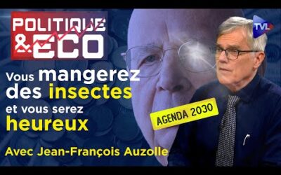 Davos tue l&rsquo;agriculture pour financer la guerre – Politique & Eco n°423 avec Jean-François Auzolle