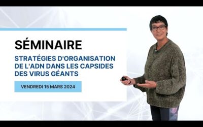Séminaire – Chantal Abergel, Directrice de Recherche CNRS