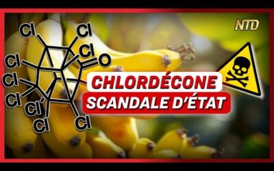 Chlordécone : un projet de loi sur un scandale d’état ; Manifestations contre Netanyahu