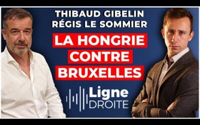 La stratégie hongroise pour résister à l&rsquo;Union européenne – Thibaud Gibelin et Régis le Sommier