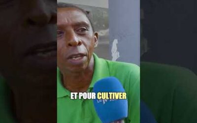 Ils attendent le RSA c’est tout.