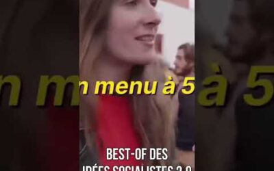 (BEST-OF) BEST-OF des idées socialistes 2.0