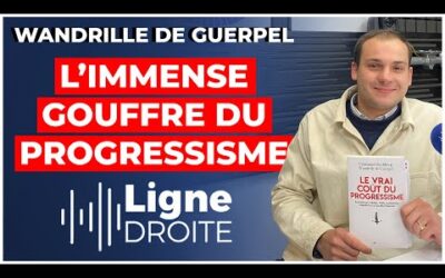 Plusieurs milliards d&rsquo;euros : le coût exorbitant du progressisme – Wandrille de Guerpel