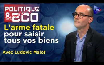 Dépossession planétaire : urgence d&rsquo;une monnaie Or et Argent – Poleco N°435 avec Ludovic Malot
