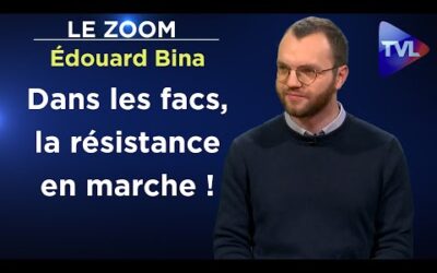 Avec la Cocarde étudiante, les facs revivent ! – Le Zoom – Edouard Bina – TVL