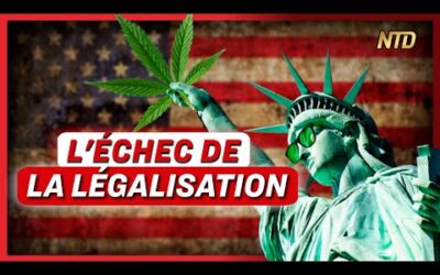 USA : Les cartels dominent le marché du cannabis ; Attaque terroriste en Russie | NTD L’Actu