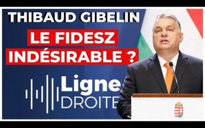 Pourquoi le parti de Viktor Orbán ne siègera pas aux côtés du groupe ECR ?