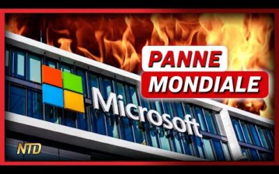 Une erreur de code informatique créé un chaos mondial ; Manifestations anti-bassines | NTD L’Actu