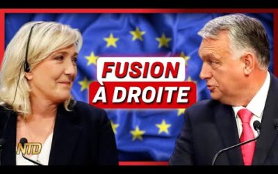 Alliance des droites en Europe ; La préfecture interdit une manifestation Antifa | NTD L’Actu