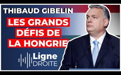 Ukraine, USA, migrants : la stratégie de Viktor Orban pour protéger la Hongrie – Thibaud Gibelin