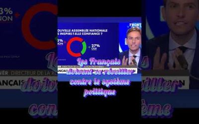Les Français doivent se réveiller contre le système politique