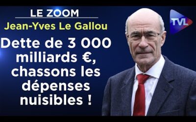 Parasitisme, clientélisme… Haro sur les dépenses nuisibles ! – Le Zoom – Jean-Yves Le Gallou – TVL