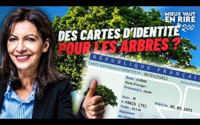 À PARIS, des arbres en situation régulière ! | Mieux vaut en rire #200