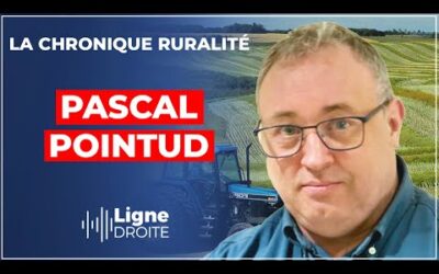 « Le Mercosur est la pierre tombale des paysans français ! » – Pascal Pointud