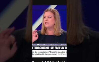 Mathilde Panot attaque Frontières sur BFM !