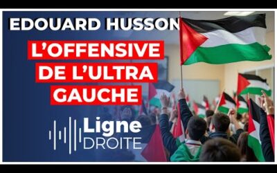 Rima Hassan, antifa, Palestine : quand l&rsquo;ultra gauche investit nos universités – Edouard Husson