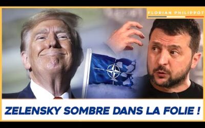 Trump débarque : Zelensky sombre dans la folie !