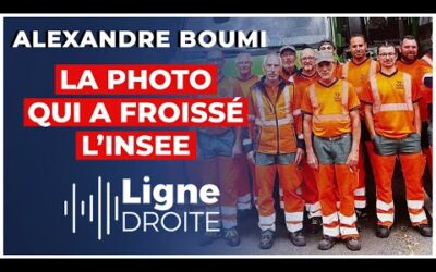 Eboueurs blancs : la réaction lunaire de l&rsquo;INSEE sur X – Alexandre Boumi