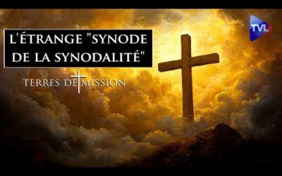 Au cœur de l&rsquo;étrange « synode de la synodalité » – Terres de Mission n°384 – TVL