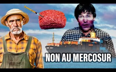 Nos agriculteurs français contre la viande aux hormones : Mercosur