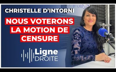 « Le gouvernement Barnier a tenté de faire les poches aux contribuables ! » – Christelle d’Intorni