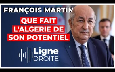 « Arrêtez de nous bassiner ! » : la colère d&rsquo;un géopoliticien contre l&rsquo;Algérie – François Martin