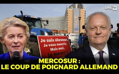 Mercosur : le coup de poignard allemand