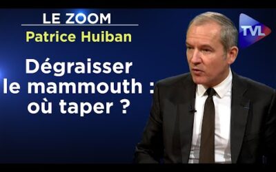 Casse sociale ou purge de l&rsquo;Etat profond ? – Le Zoom – Patrice Huiban – TVL