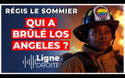 Incendies à Los Angeles : quand le wokisme devient un danger mortel – Régis le Sommier