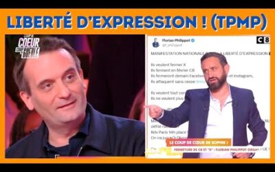Florian Philippot sur C8 : débat totalement incroyable !