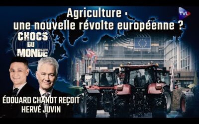 Derrière la crise agricole, la survie alimentaire – Chocs du monde avec Hervé Juvin – TVL