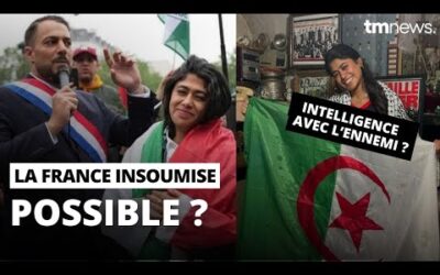 Peut-on déchoir Rima Hassan de la nationalité Française ?! (Et pas seulement elle)