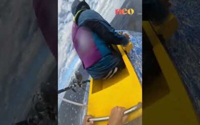 Quand @imsolal et son équipage pêchent un poisson de la taille d’un humain… au harpon !