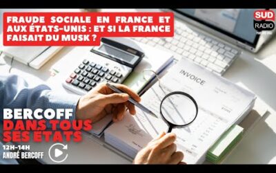 Fraude sociale en France et aux États-Unis : et si la France faisait du Musk ?