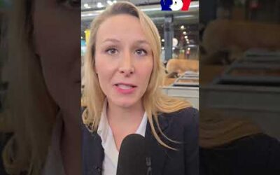 « Marine Tondelier a un culot monstre ! »