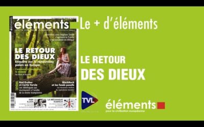 « Le Panthéon est un endroit un peu triste et froid pour un homme comme Marc Bloch ! »Revue éléments