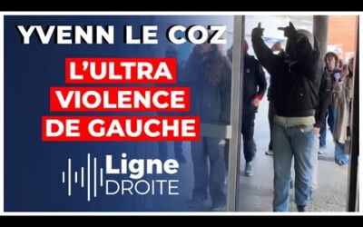 Toulouse : des militants patriotes violemment agressés par une horde de gauchistes – Yvenn le Coz