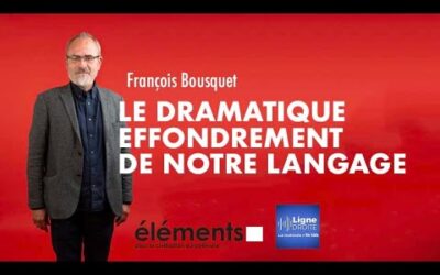 Qui a tué la langue française ?