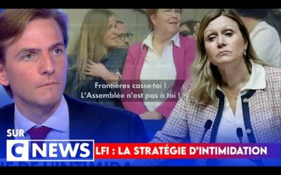 « Dire que Louise a crée un trouble à l&rsquo;ordre public est un scandale ! » Erik sur cnews