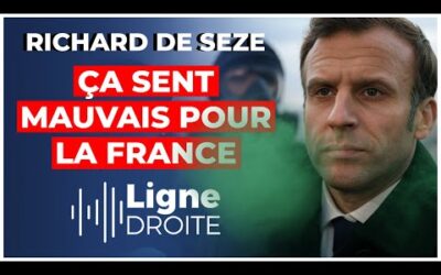 « Macron empeste ! » : l&rsquo;infâme parfum de notre cher président – Richard de Seze