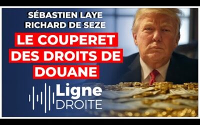 La politique de Trump est-elle en train de ruiner les USA ? – Sébastien Laye et Richard de Seze