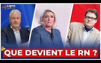 Le RN joue-t-il le jeu du système ? – Le débat Jérôme Sainte-Marie et Guillaume Bernard