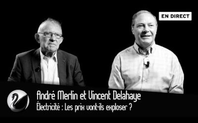 Électricité : Les prix vont-ils exploser ? André Merlin et Vincent Delahaye [EN DIRECT]