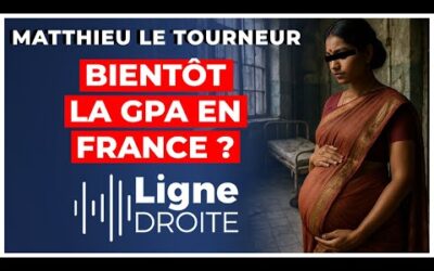 Après le Mariage pour tous, la PMA, l&rsquo;euthanasie, bientôt la GPA ? – Matthieu le Tourneur