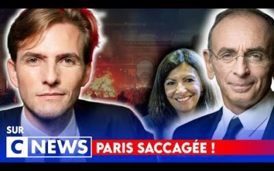 « Zemmour a raison : ce sont des français de papier ! » Erik sur Cnews